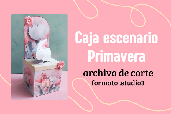 Spring Stage Box with 3D Rabbit Review